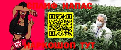 стафф Донской